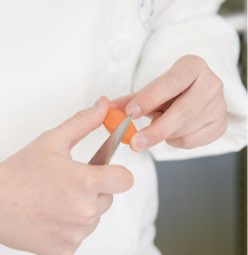 西洋料理